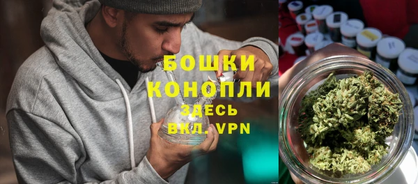 дмт Аркадак