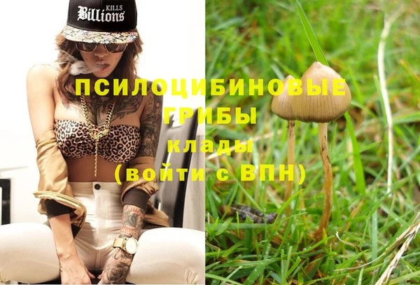 прущая мука Армянск