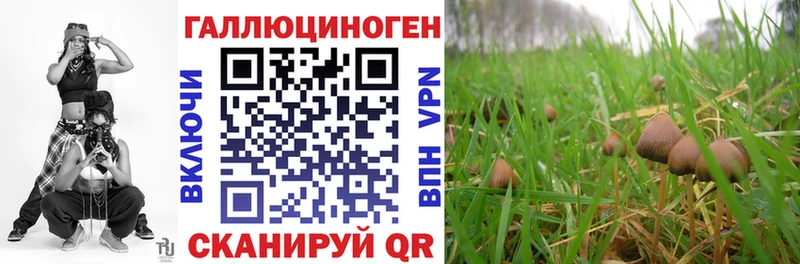 закладки  Петухово  Псилоцибиновые грибы Magic Shrooms 